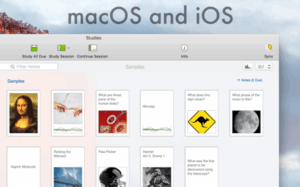 Studies · Premium Flashcards 2