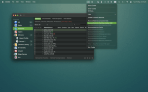 Cookie – privacy control 2