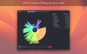 DaisyDisk 1