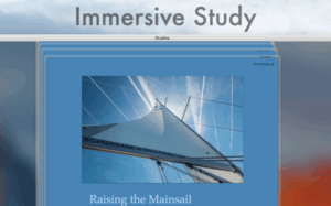 Studies · Premium Flashcards 3
