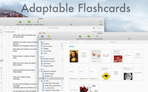 Studies · Premium Flashcards 1