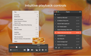 Elmedia: universal video player 2