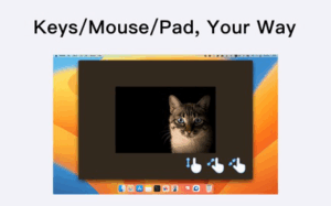 Picview – Image Viewer 3