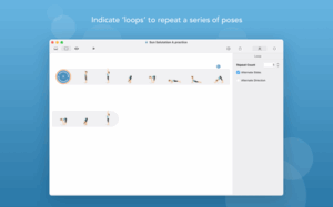 Pocket Yoga Teacher 3