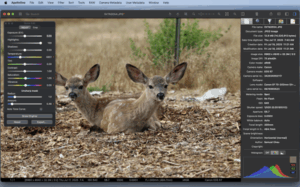 ApolloOne – Photo Video Viewer 1