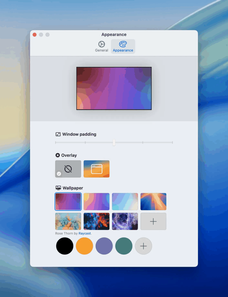 CleanPresenter 1