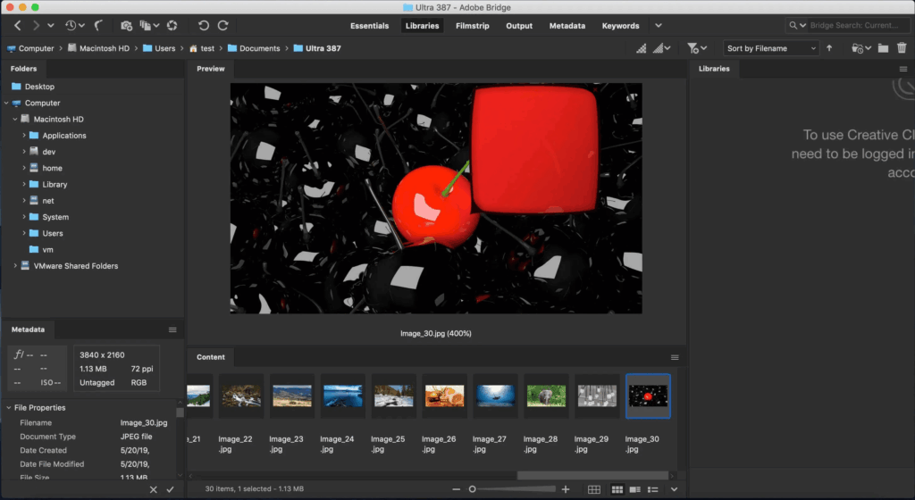Adobe Bridge 2025 1
