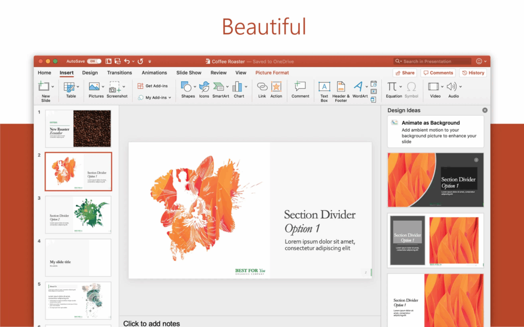 Microsoft Office 2024 1