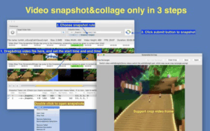 Video Snapshot&Collage 2