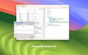 JSON Wizard 2