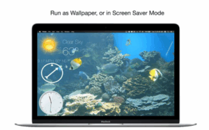 Aquarium 4K – Live Wallpaper 3