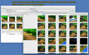 Video Snapshot&Collage 3