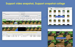 Video Snapshot&Collage 1