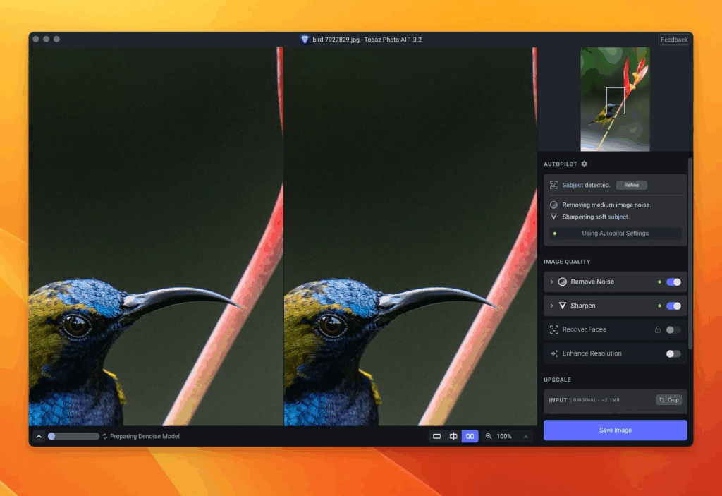 Topaz Photo Pro 1